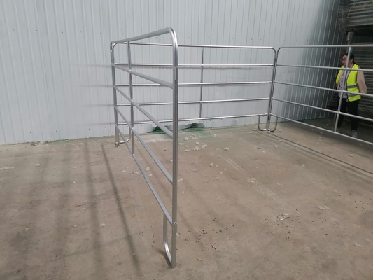 30x60mm Galvanized Ternak Pagar Panel Tugas Berat / Kuda Yard Panel