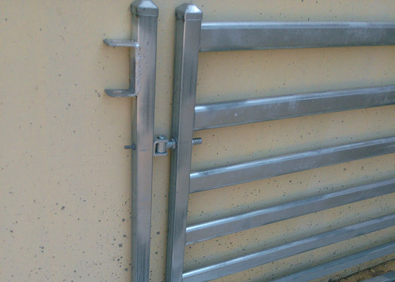 Hot Dip Galvanized 1.6m Panel Pagar Ternak Dengan Aksesori Pin / Lugs