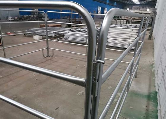 Australia Tipe 1,8m Panel kandang sapi Tugas berat