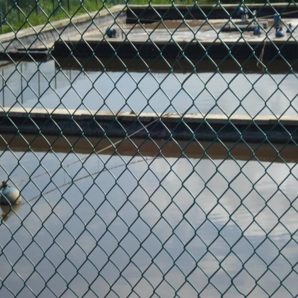 berita perusahaan terbaru tentang Pagar Tautan Rantai Keamanan Mesh 0