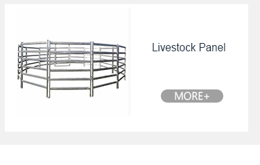 Hot Dip Galvanized Metal Crowd Control Penghalang Keamanan Portable 11