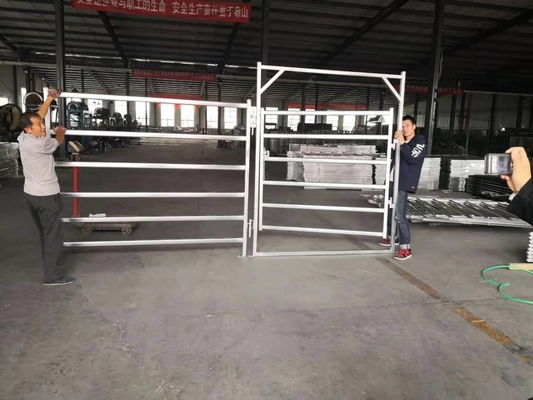 Welded Side Iron Hot Dip Galvanized Steel Farm Gate Mudah Dirakit