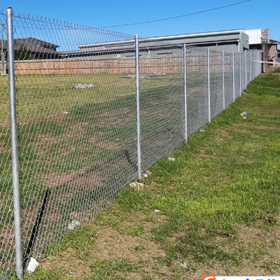 6ft 8ft 5x5 6x6 Galvanized PVC Coated Chain Link Fence Untuk Pagar Pertanian