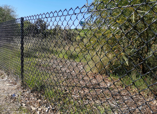 6ft 8ft 5x5 6x6 Galvanized PVC Coated Chain Link Fence Untuk Pagar Pertanian