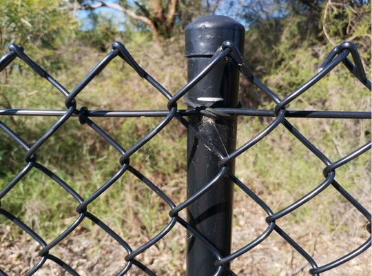 6ft 8ft 5x5 6x6 Galvanized PVC Coated Chain Link Fence Untuk Pagar Pertanian