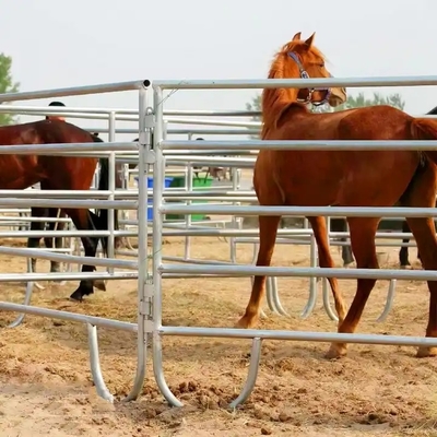 Panel Pekarangan Galvanis Domba/sapi/kambing/kuda yang Dicelup Panas Panel Peternakan Besi Pagar Perkebunan Panas Diperlakukan dengan Tekanan Diperlakukan W