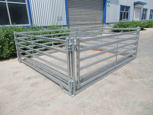 Welded Netting Manufacture Supplier 2x2 Galvanized Cattle Welded Wire Mesh Panel