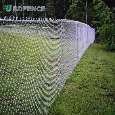 6ft 8ft Chain Link Pagar Dengan PVC Lapisan Dan Galvanized Finish