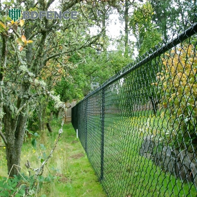 Teknik Woven 5ft Galvanized Chain Link Fence Dengan PVC Coated Wire Mesh Dan Hot Dip Galvanizing