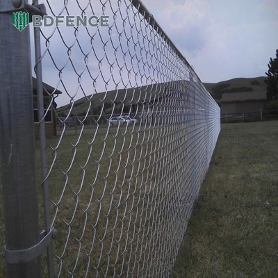 4FT 5FT 6FT 2m 8FT Pertanian Lapangan Galvanis Chain Link Pagar Baja Wire Mesh Metal Pagar