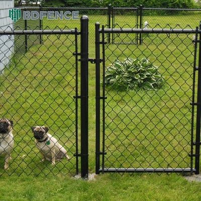 Cagar Alam Chain Link Fence Hewan liar