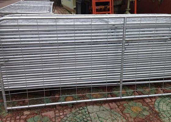 Amerika Portable Chain Link Temporary Fence Untuk Situs Konstruksi Temporary Fencing
