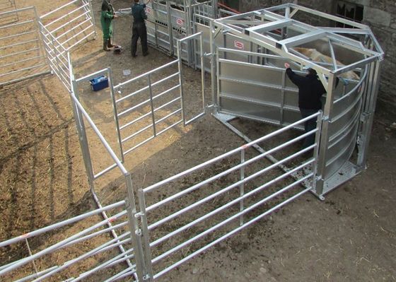 Panel Pagar Ternak Dilas Tabung Persegi Untuk Sapi