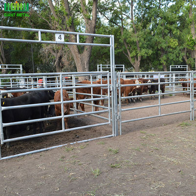 Panel Pagar Hewan Tabung Oval Galvanis Untuk Ternak