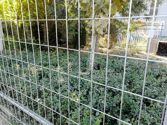 American Market Standard 6 X 12 Ft Galvanized Temporary Chain Link Fence Panel Untuk Situs Konstruksi