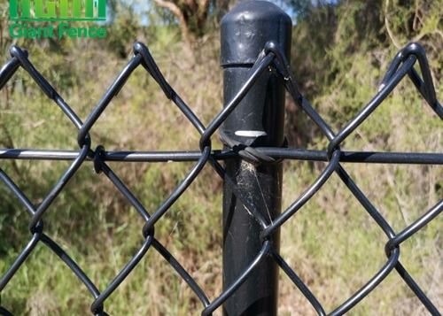 Pvc Dilapisi Taman Hias Perimeter 2mm Chain Link Wire Mesh Anggar