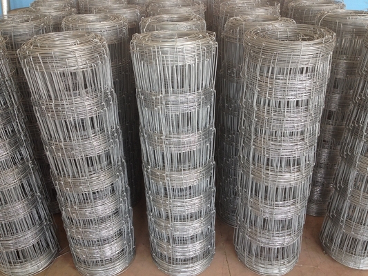 Standar Australia 0.8m Panel Pagar Pertanian Pra Galvanis Woven Wire Mesh